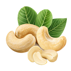Cashews