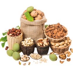 Dry Fruits