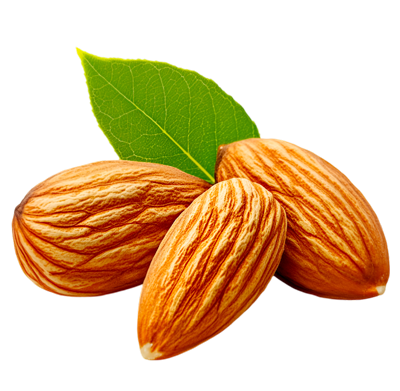Premium Almonds