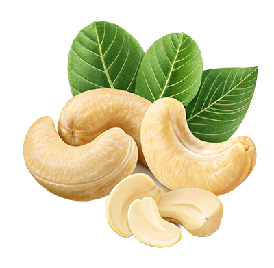 Premium Cashews